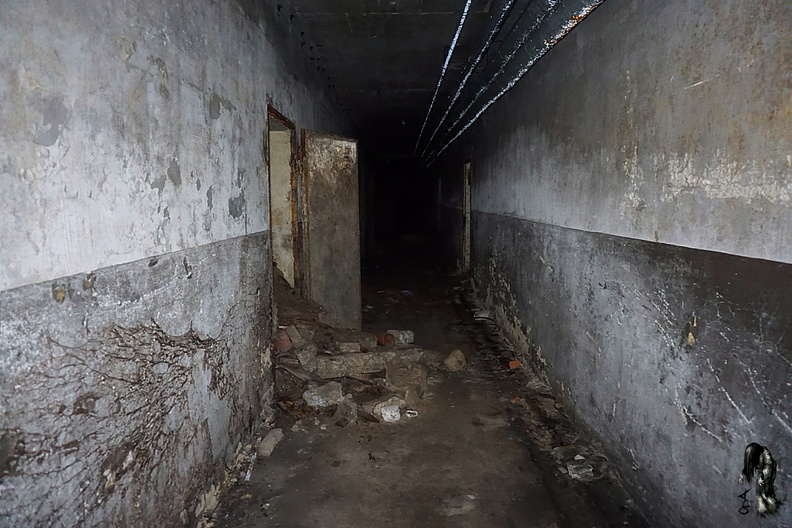 Paranormale Untersuchung - Der Bunkerstollen2.jpg
